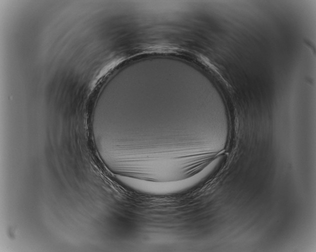 X0000099431315200806061009