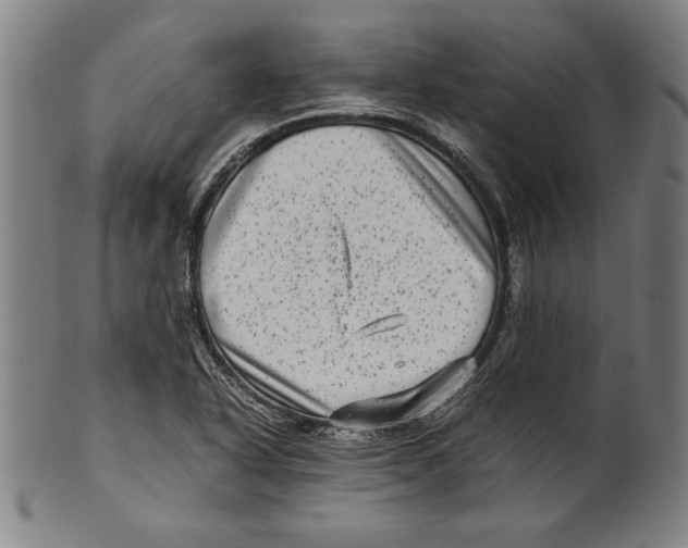 X0000099431318200806061009