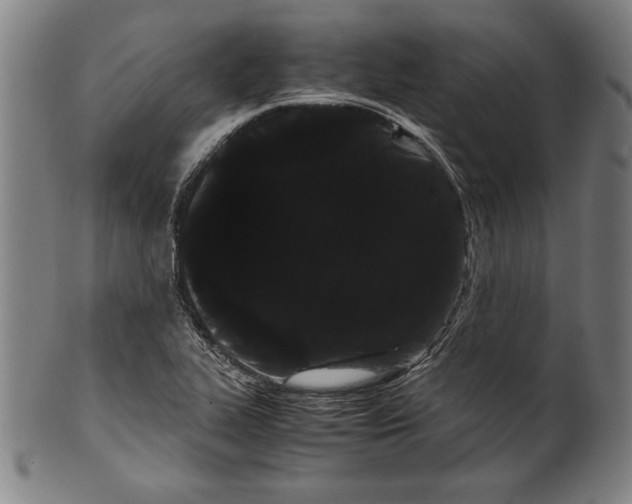 X0000099431319200806061009