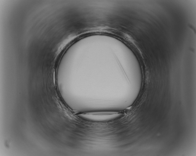 X0000099431320200806061009