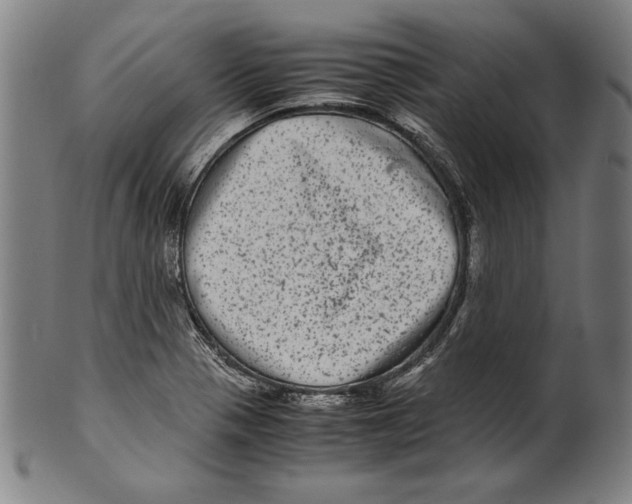 X0000099431321200806061009