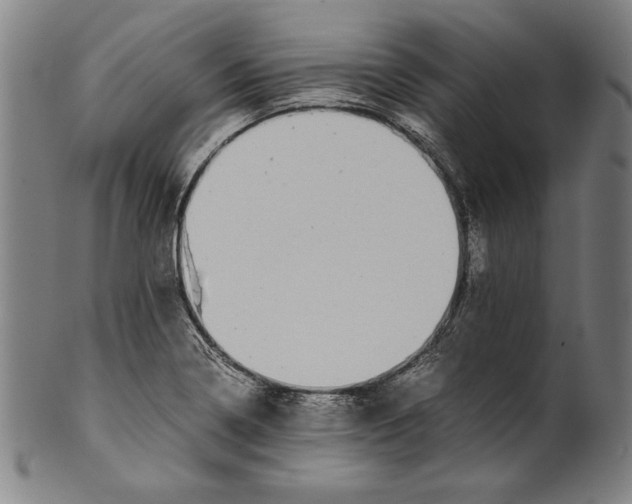 X0000099431322200806061010