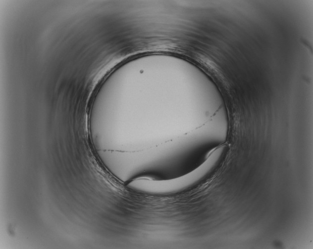 X0000099431324200806061010