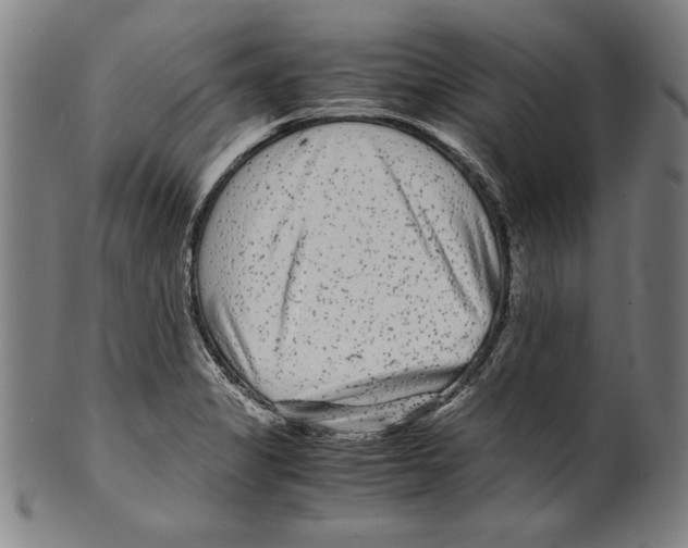 X0000099431325200806061010