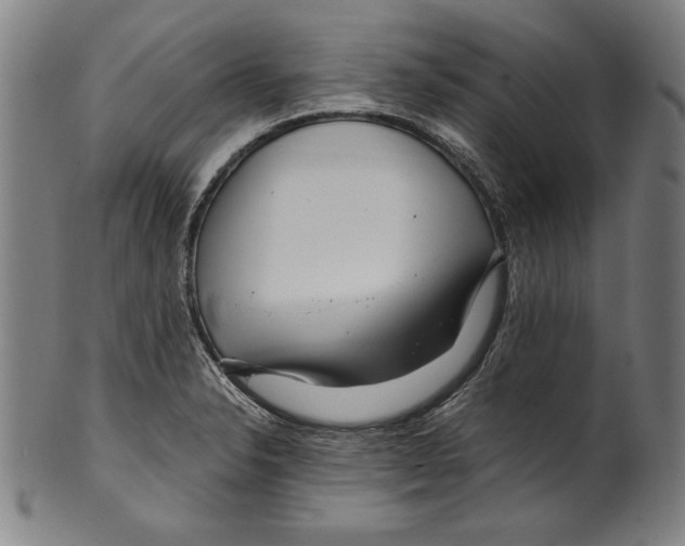 X0000099431326200806061010