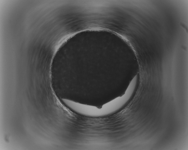 X0000099431327200806061010