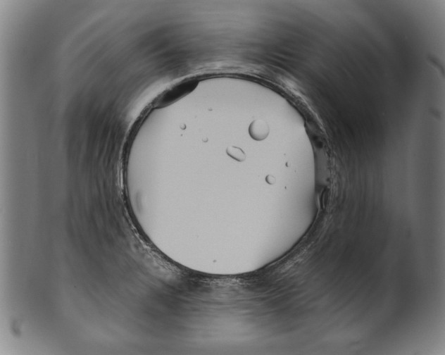 X0000099431328200806061010