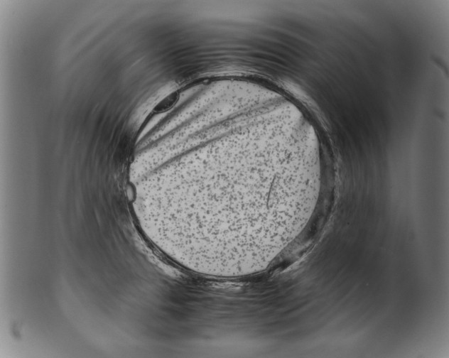 X0000099431329200806061010