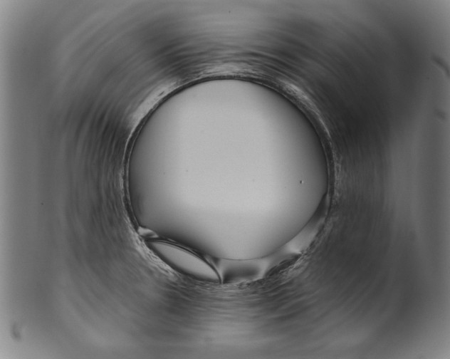 X0000099431330200806061010