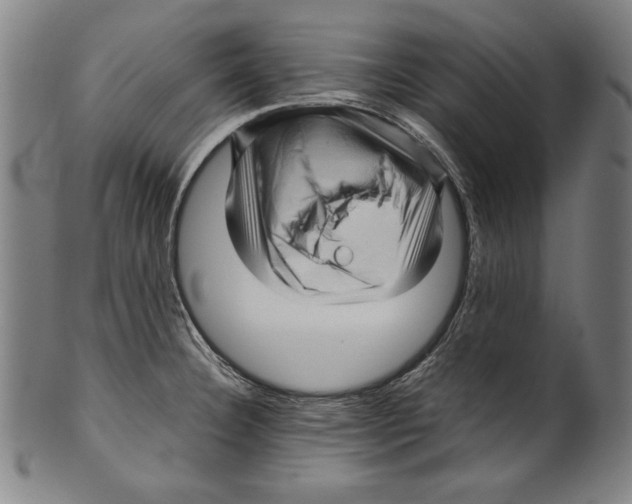 X0000099431332200806061010