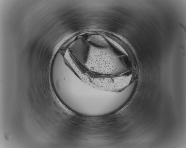 X0000099431333200806061010