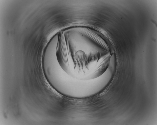 X0000099431334200806061010