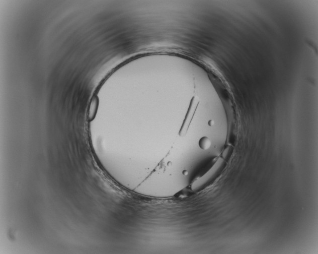 X0000099431336200806061010