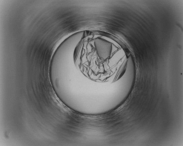 X0000099431340200806061010