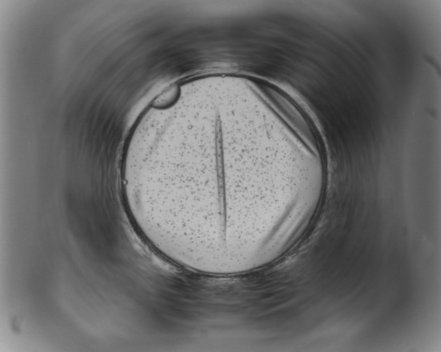 X0000099431341200806061010