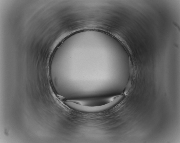 X0000099431342200806061010