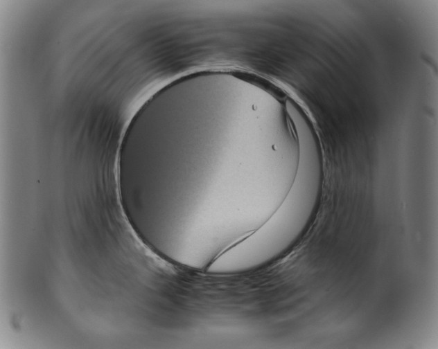 X0000099431343200806061010