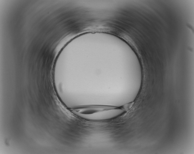 X0000099431344200806061010