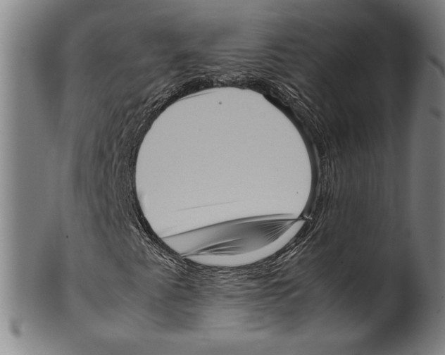 X0000099431345200806061009