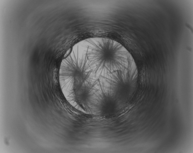 X0000099431346200806061009