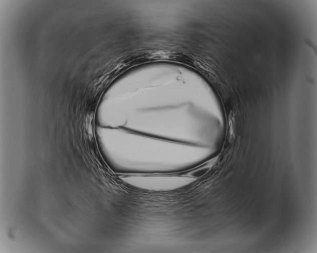 X0000099431347200806061009