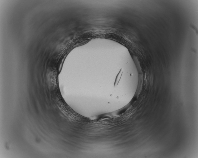 X0000099431348200806061009