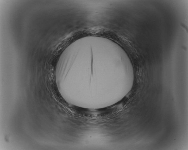 X0000099431349200806061009