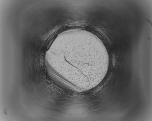 X0000099431350200806061009