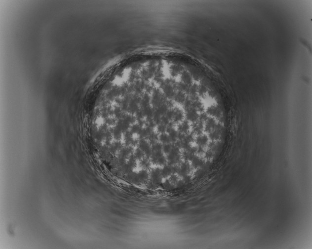 X0000099431351200806061009