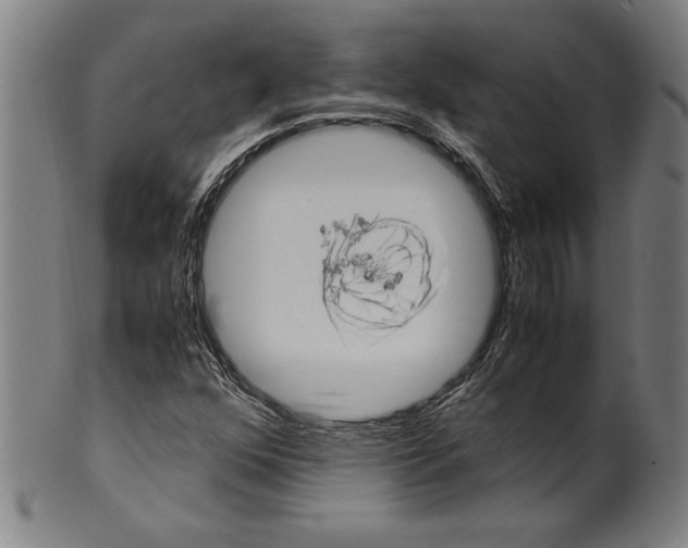 X0000099431352200806061009