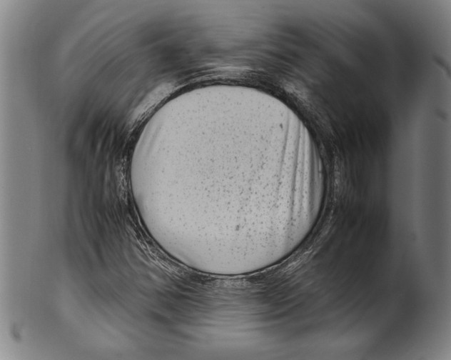 X0000099431354200806061009