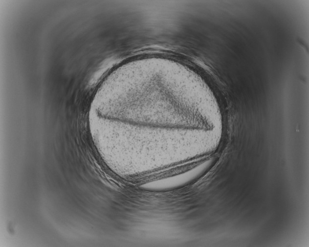 X0000099431355200806061009