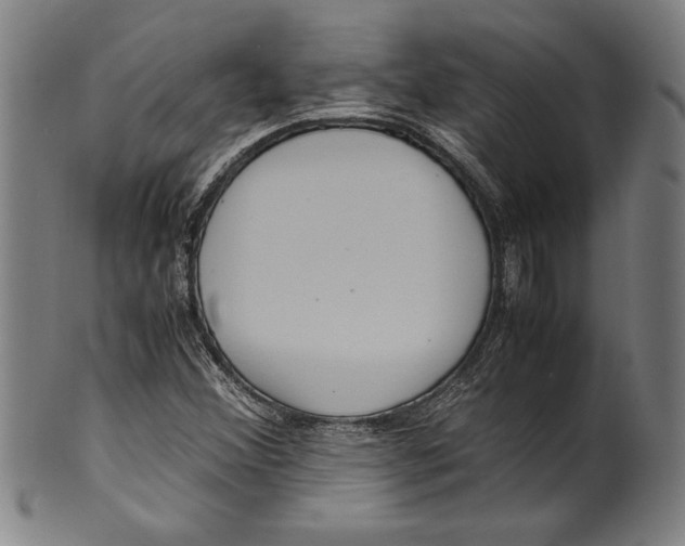 X0000099431356200806061009