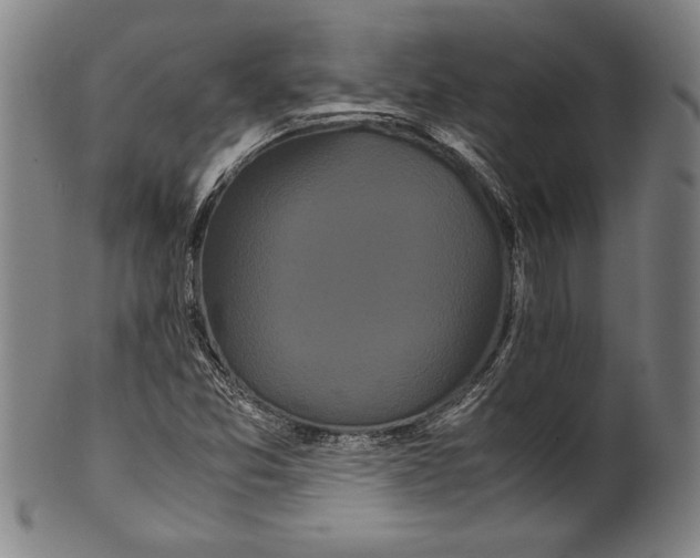 X0000099431357200806061009