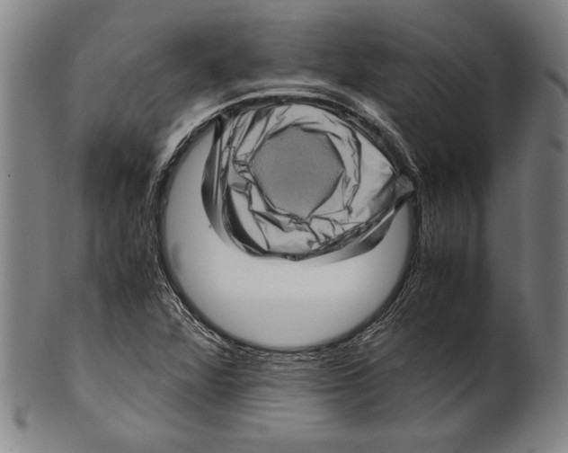 X0000099431360200806061009