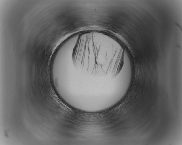 X0000099431364200806061009