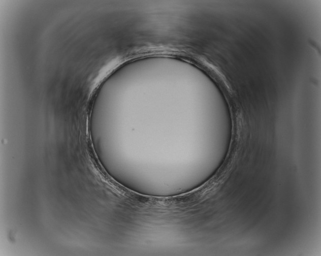 X0000099431365200806061009