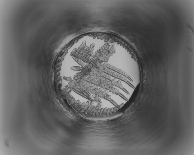 X0000099431367200806061009