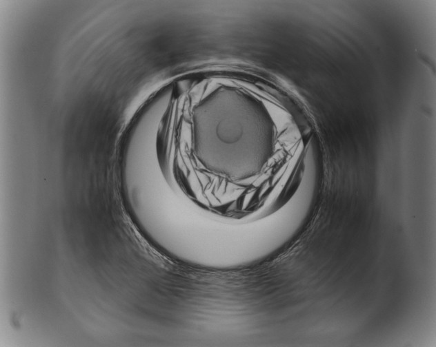 X0000099431368200806061009