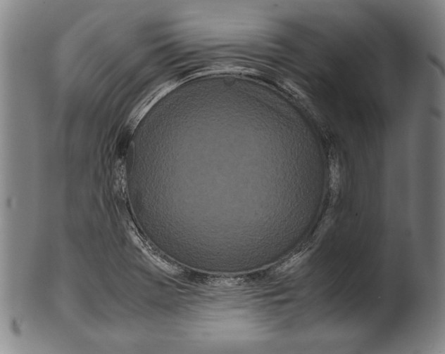 X0000099431369200806061009