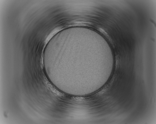 X0000099431370200806061009