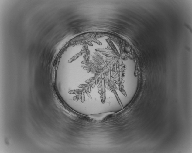 X0000099431371200806061009