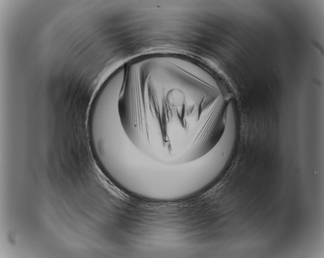 X0000099431372200806061009