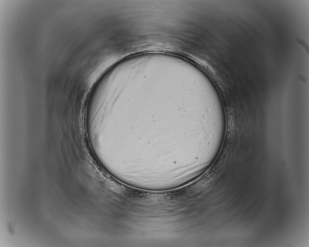 X0000099431375200806061008