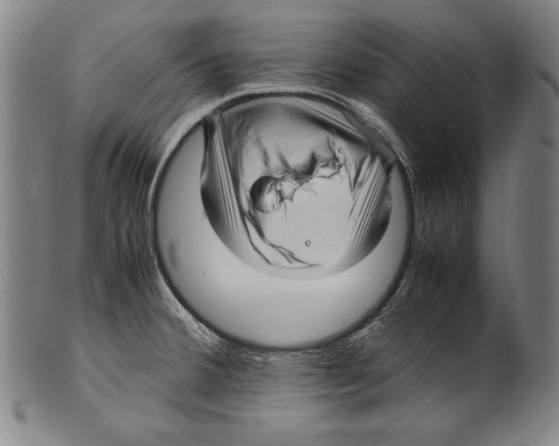 X0000099431380200806061008