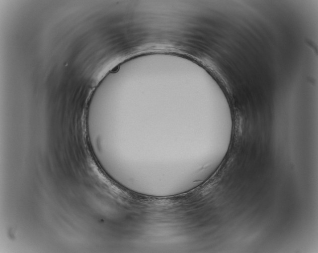 X0000099431382200806061008