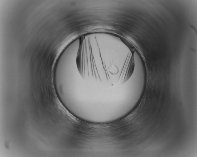 X0000099431384200806061008