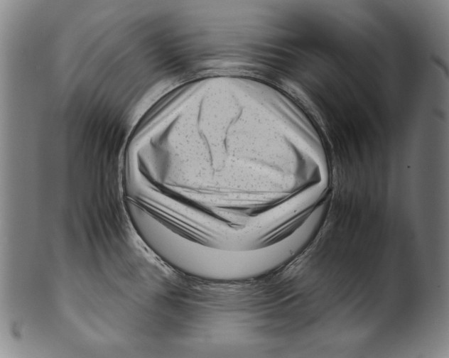 X0000099431386200806061008