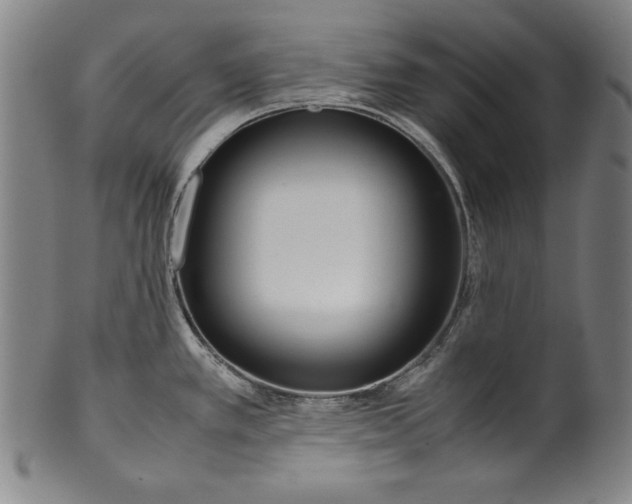 X0000099431389200806061008