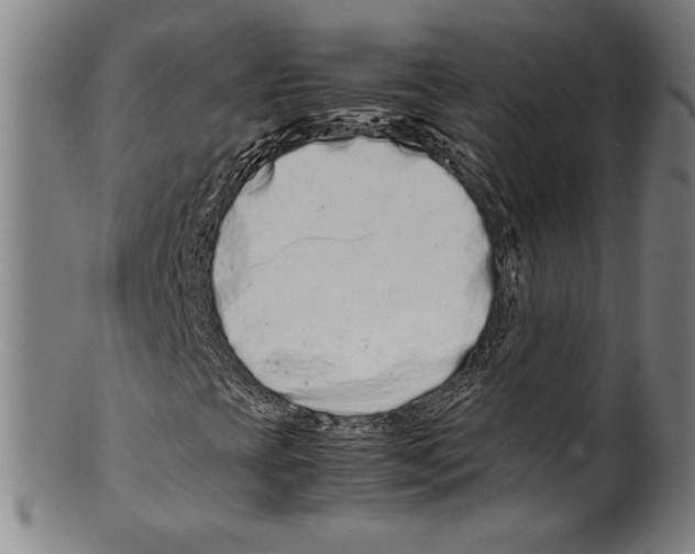 X0000099431393200806061007